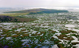 Coastal plain of Yukon-Kuskokwim delta