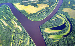 A slough of the Yukon River