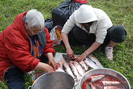 working on food