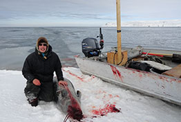 seal hunt