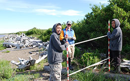 measuring coastline